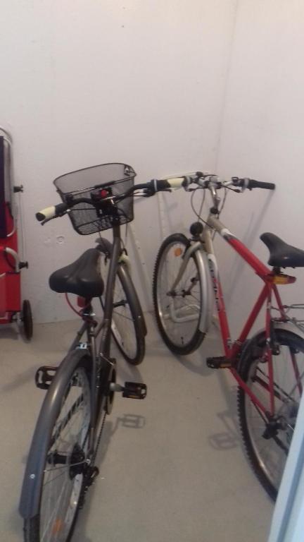 Jazda na bicykli v okolí ubytovania Apartament Admiralski