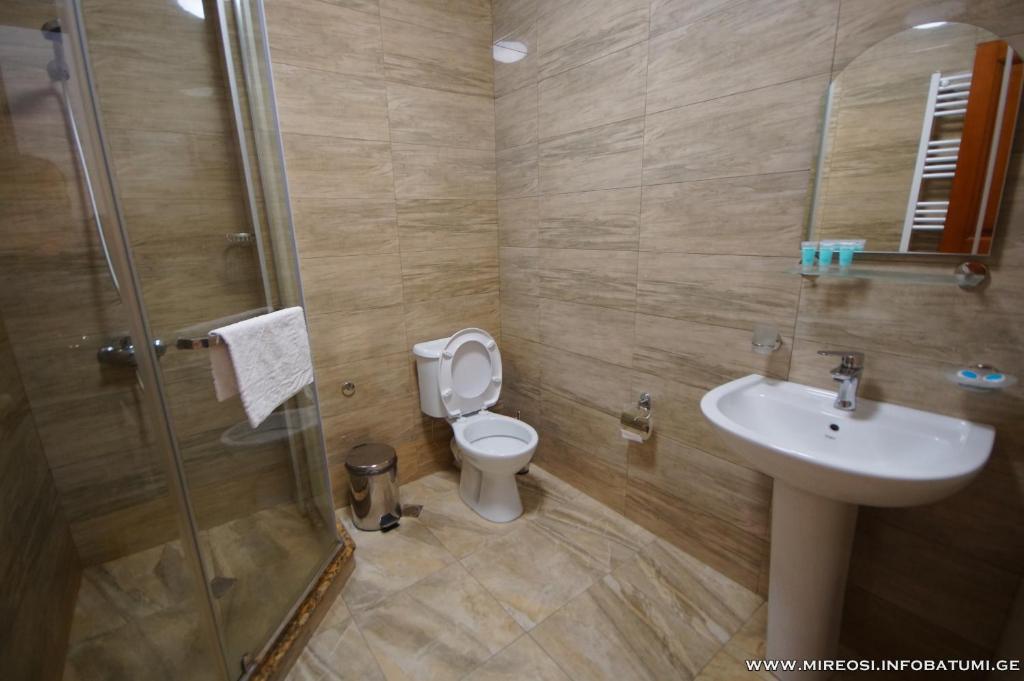 Phòng tắm tại Hotel Mireosi