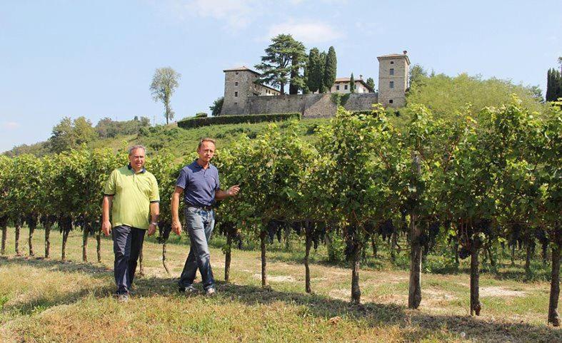 Hosté ubytování Villa Chiopris