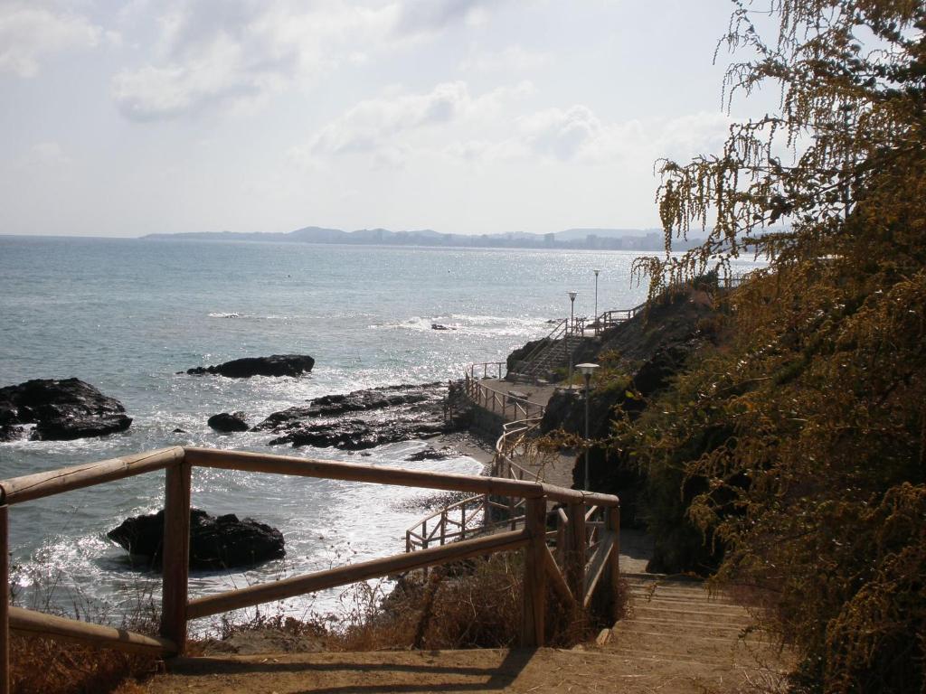 Príroda v okolí vily