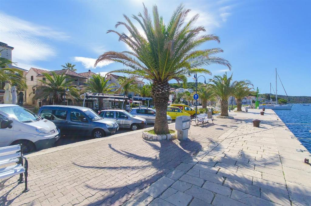 a palm tree on the side of a street with cars at Apartment Vlatka in Rogoznica