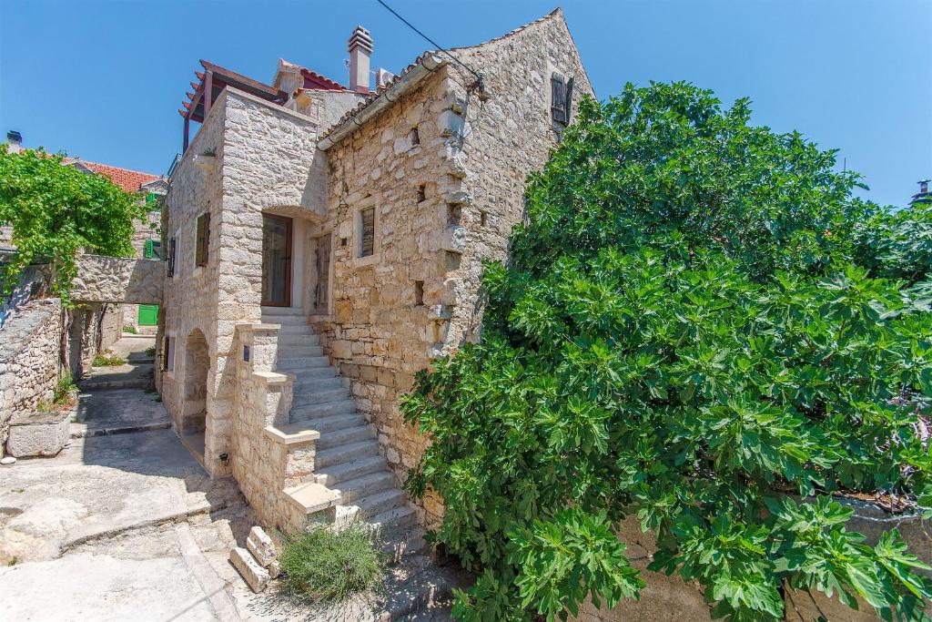 un antiguo edificio de piedra con escaleras junto a un árbol en House Stone house island Prvic, en Prvić Šepurine