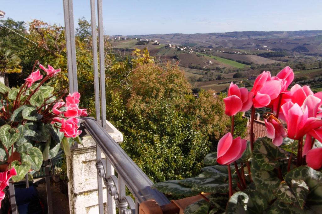 Przyroda w pobliżu tego obiektu B&B