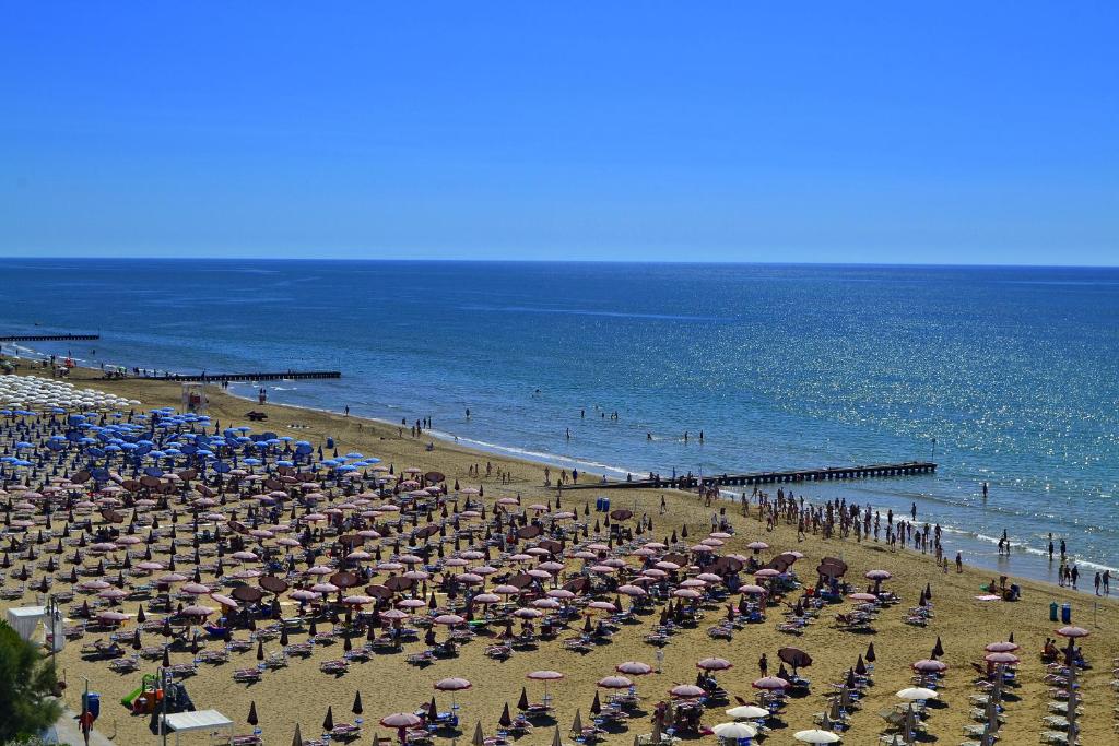 Příroda nedaleko hotelu