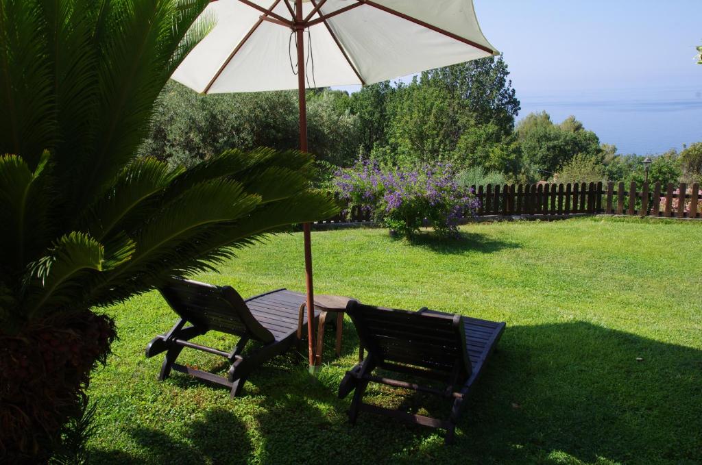 Příroda nedaleko bed and breakfast