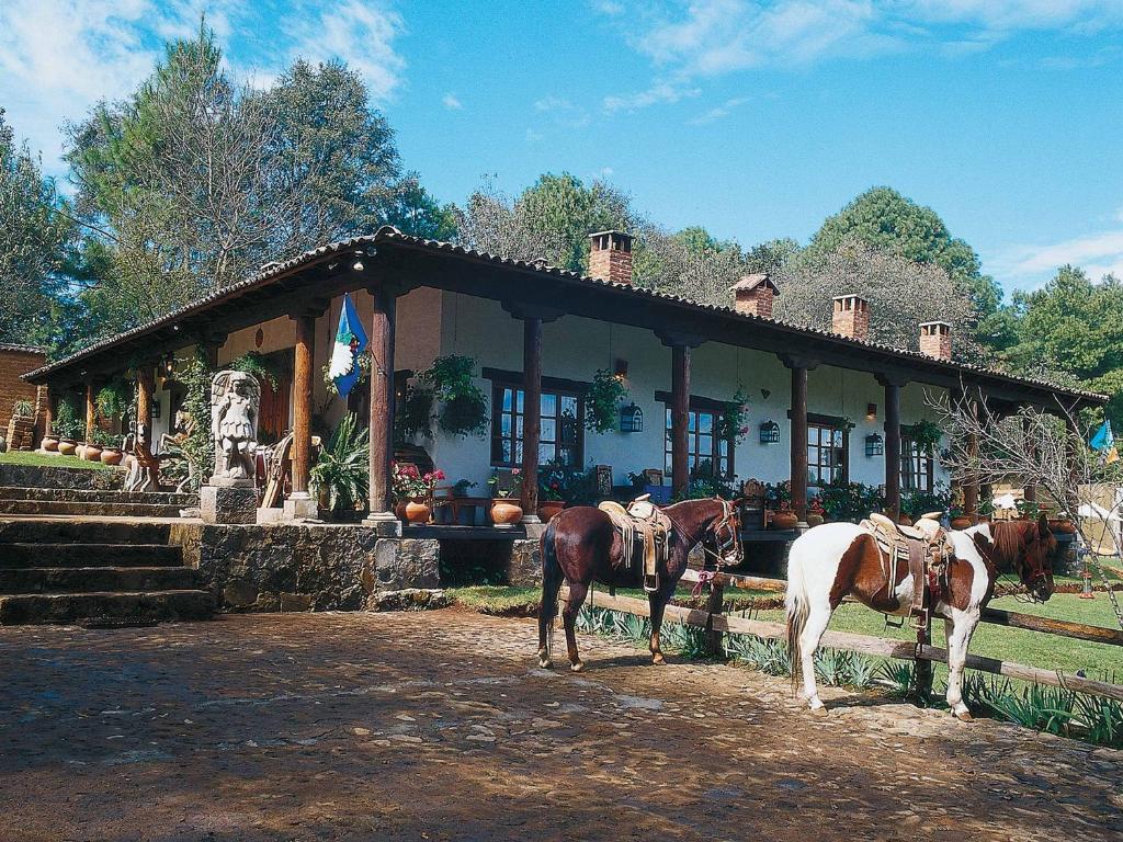 Zvířata v hotelu nebo okolí