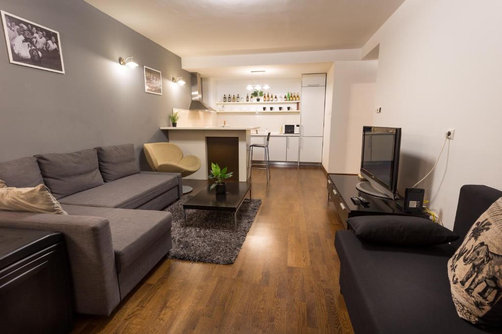 a living room with a couch and a television at City Heart Wellness Apartment in Budapest