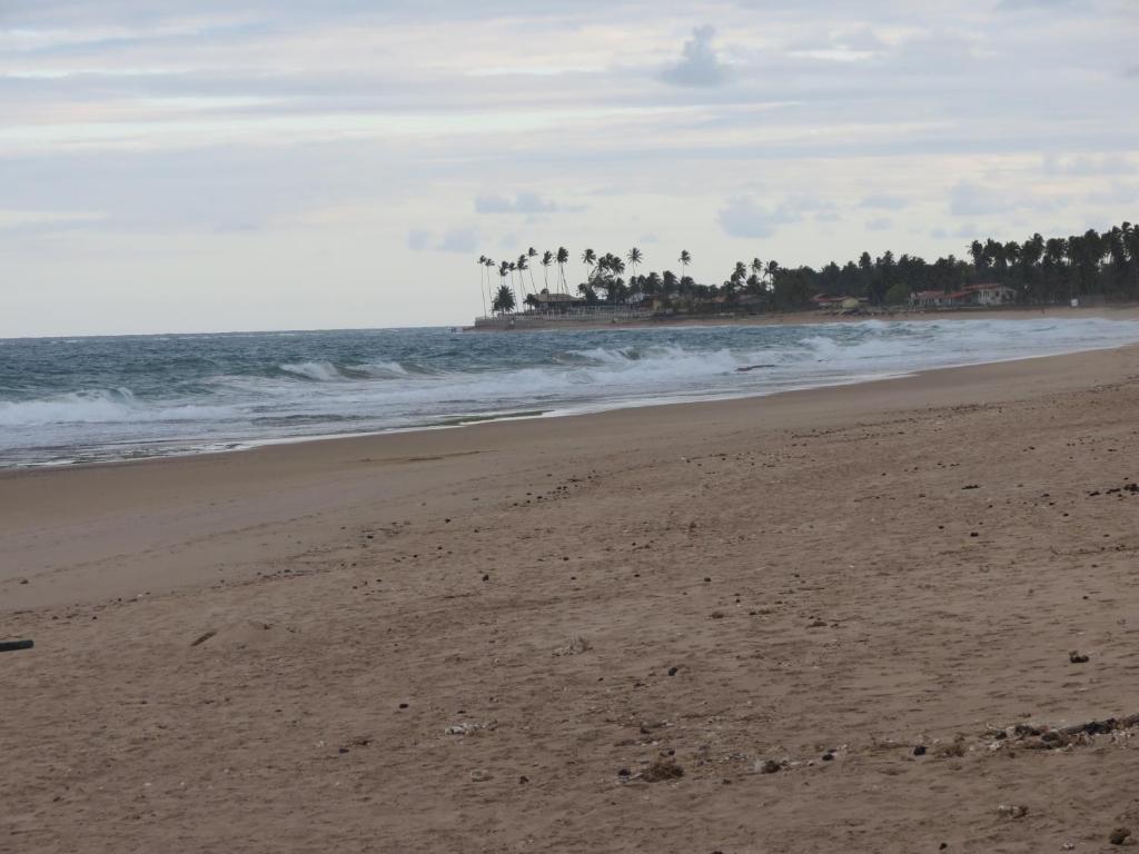  Flats Beach Class Muro Alto