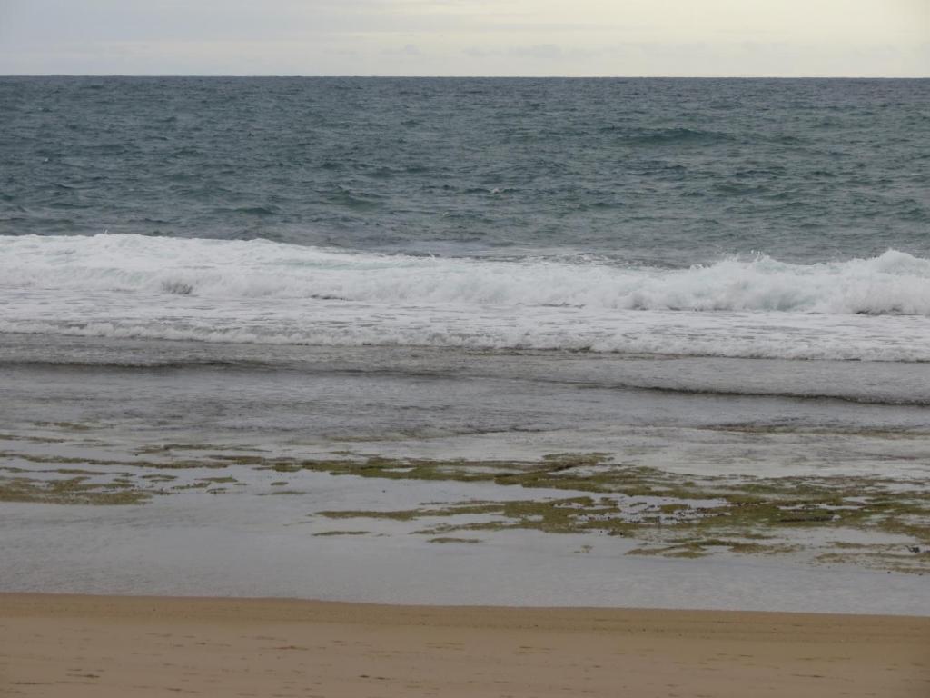  Flats Beach Class Muro Alto