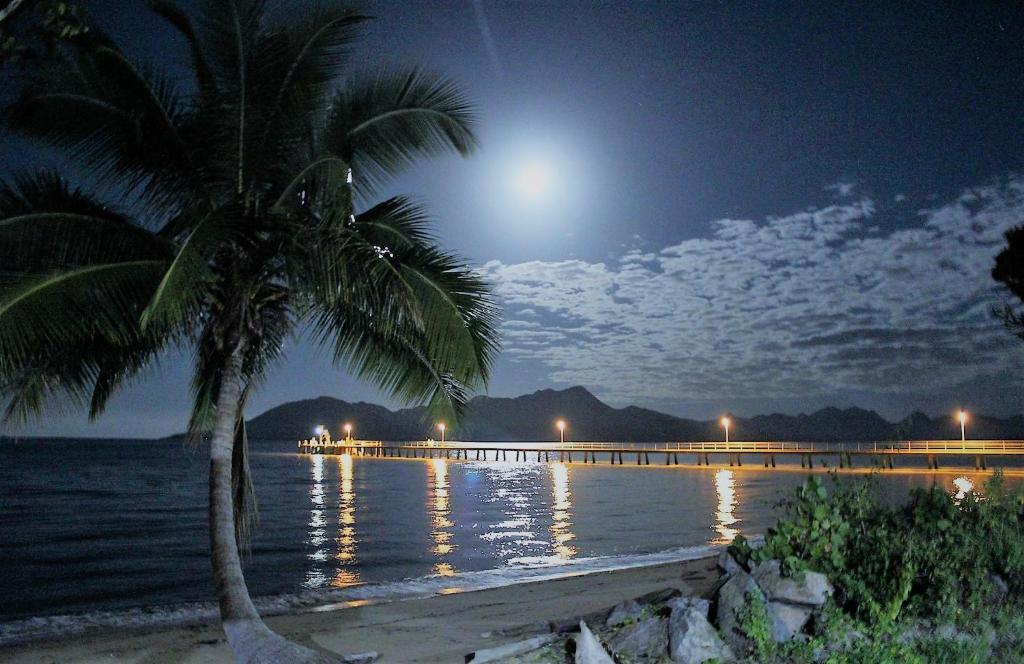 uma palmeira numa praia à noite com a lua em Kookaburra Holiday Park em Cardwell