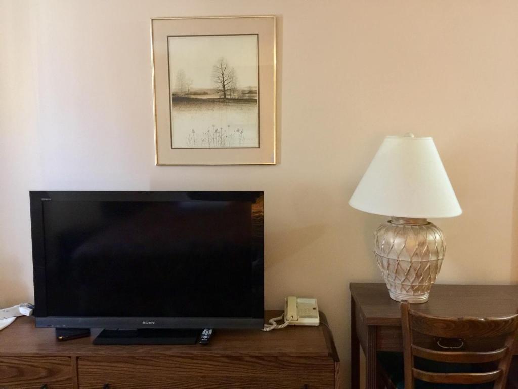 TV a/nebo společenská místnost v ubytování Villagers Inn