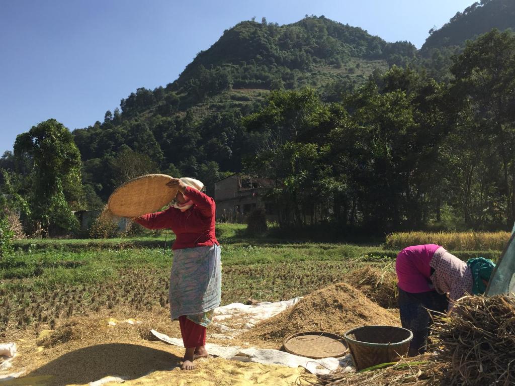 Hosté ubytování Homestay Nepal