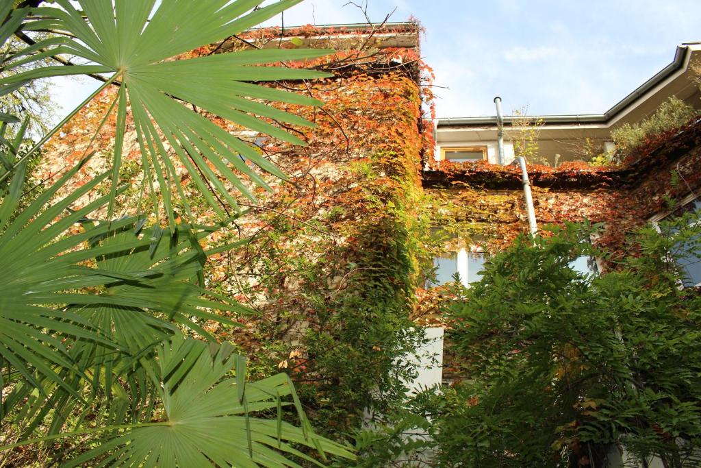 Hotel Wiener Kindl - Resim 28