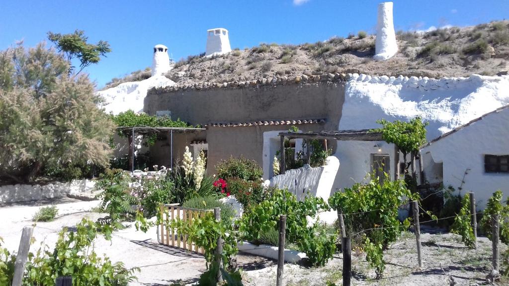 una casa con techo de paja y plantas delante en Al Jatib, en Baza