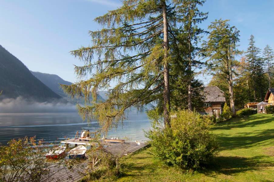 een boom en een huis aan de oever van een meer bij Exklusive Seeappartements beim Elfenhaus in Grundlsee