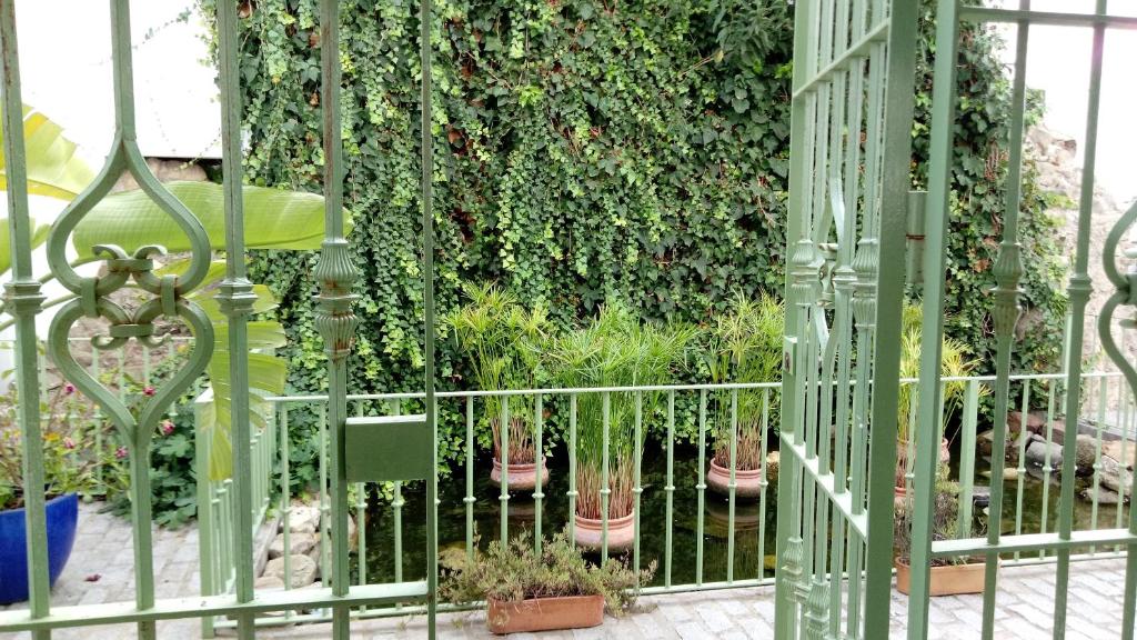 タリファにあるGravina Comfortの鉢植えの門