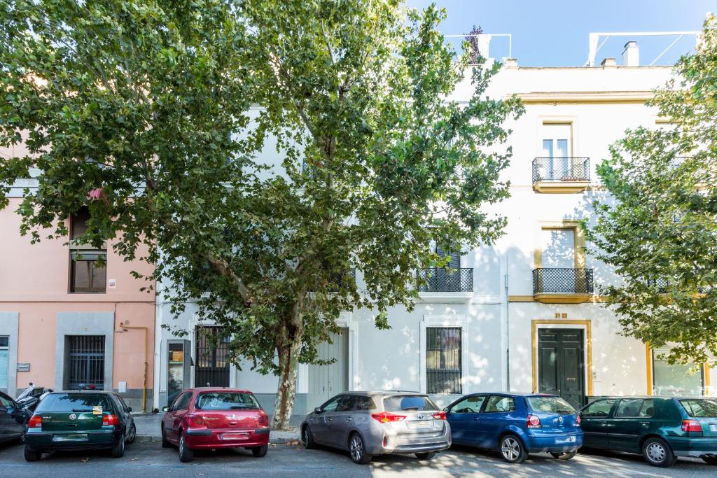 Alohamundi Marqués de Paradas - 3