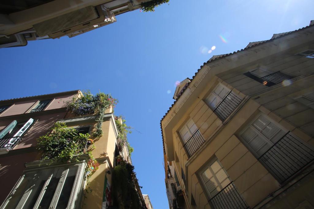 Fotografia z galérie ubytovania Moderno Piso en Centro Historico v destinácii Málaga