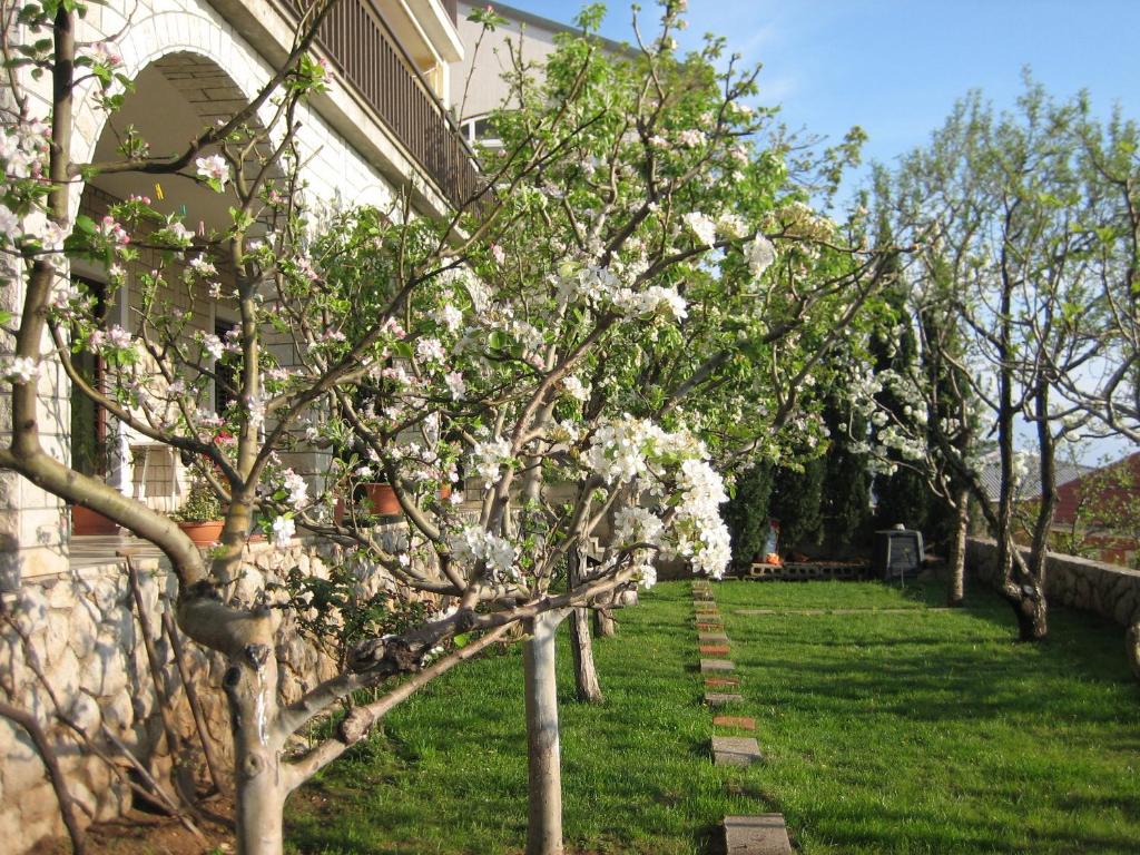 a row of trees with white flowers in a yard at Apartmani Ivanka Prpić in Senj