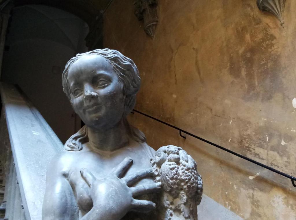 Palazzo Larioni dei Bardi - 17