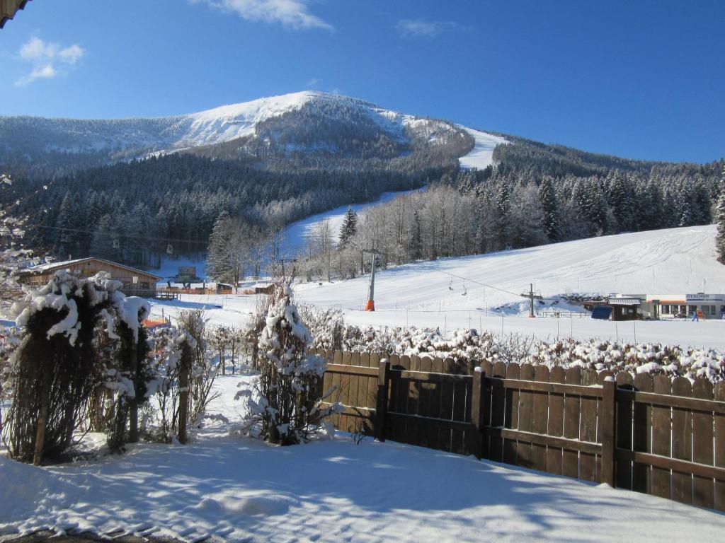 Příroda nedaleko apartmánu