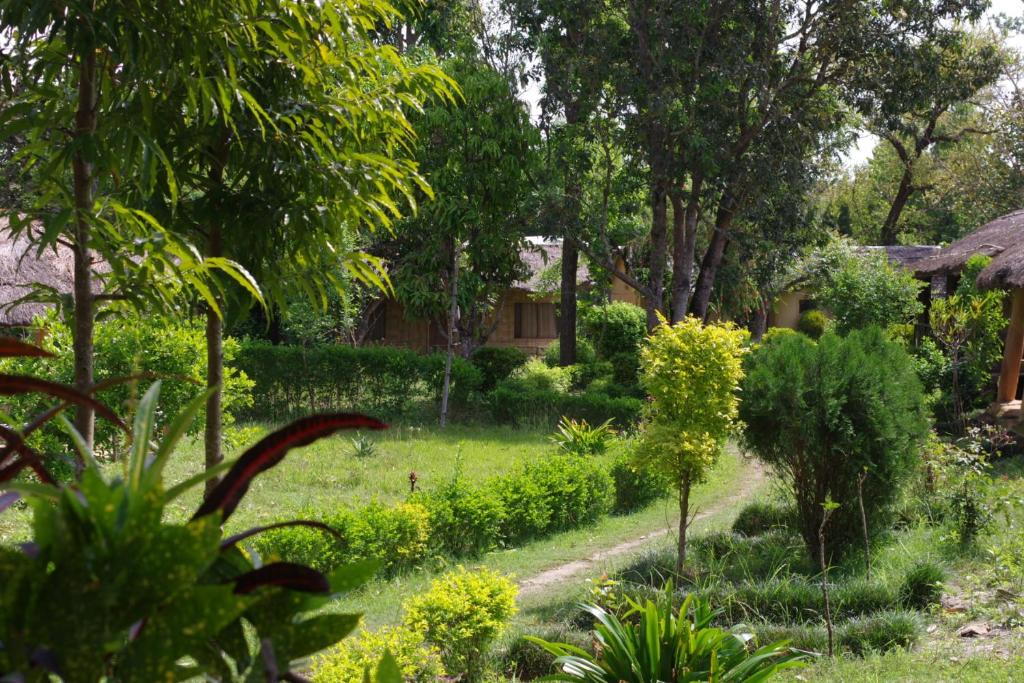 a garden with plants and trees and a house at Jungle Base Camp in Bardia