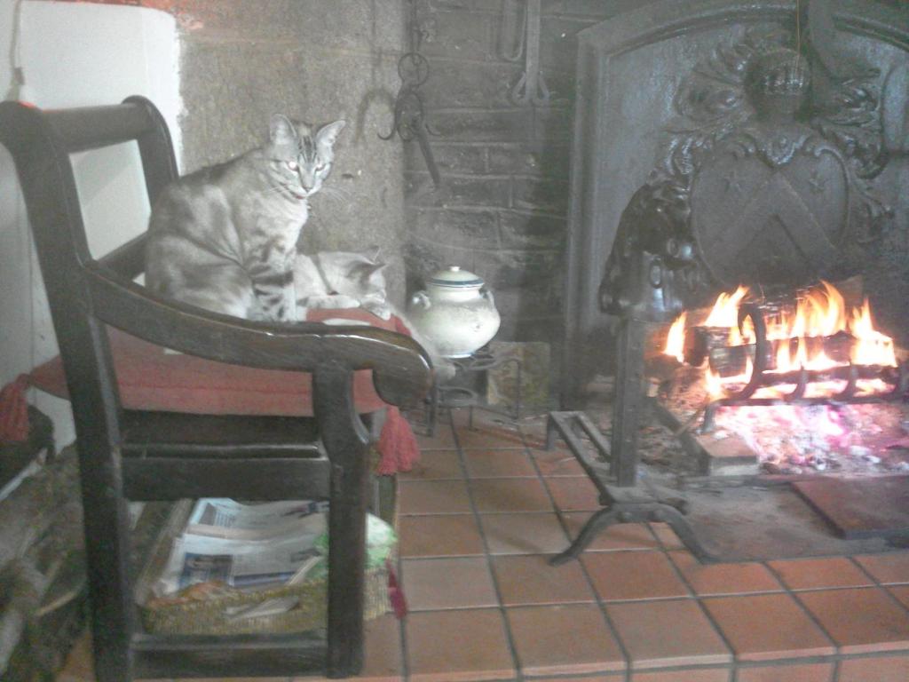 Fotografie z fotogalerie ubytování Manoir de la Peignie v destinaci Merdrignac