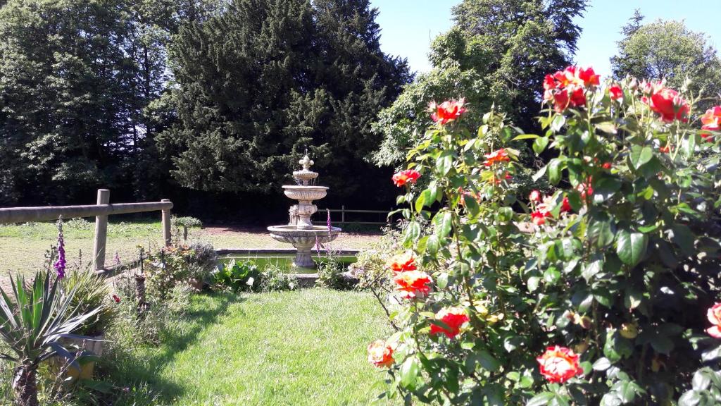Zahrada ubytování Manoir de la Peignie