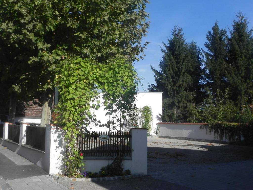 Vonkajšia záhrada v ubytovaní Apartments Haus Morgensonne