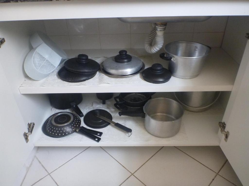  Kit Pitangueiras