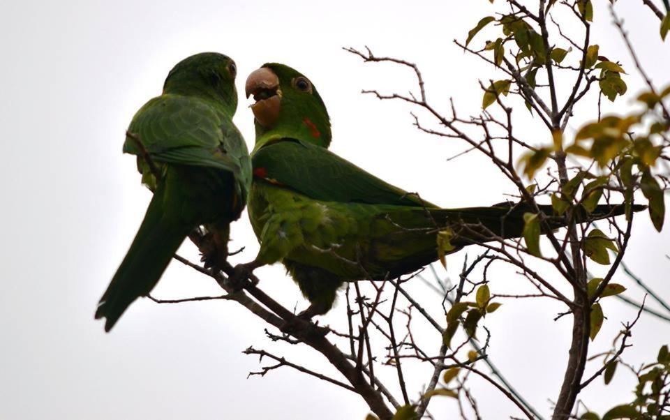  Itaporanga Pousada
