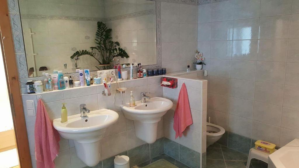 Koupelna v ubytování Privatzimmer Dimitrova