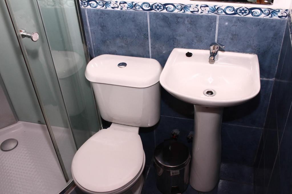 Koupelna v ubytování Hostal el Nogal Pucón
