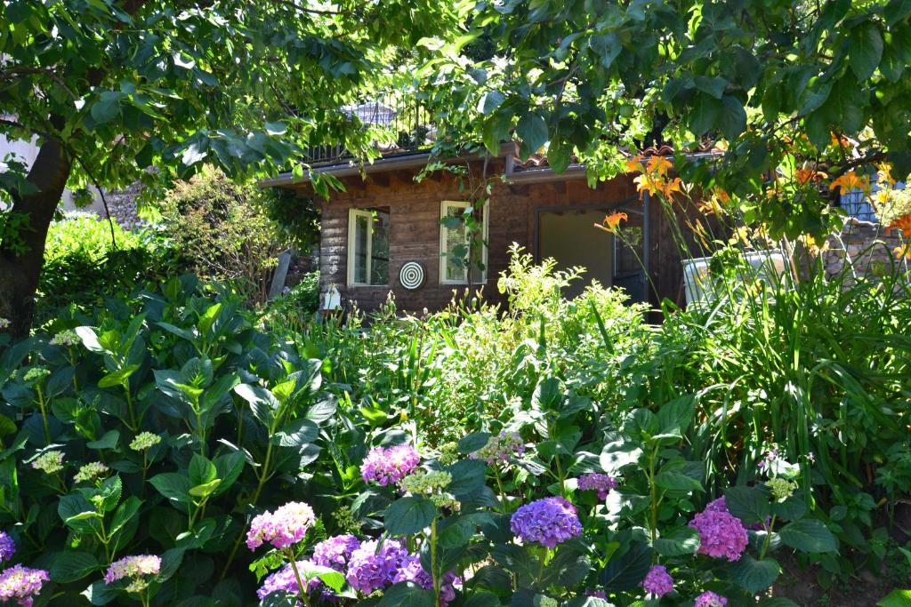 Zahrada ubytování B&B Il Torchio