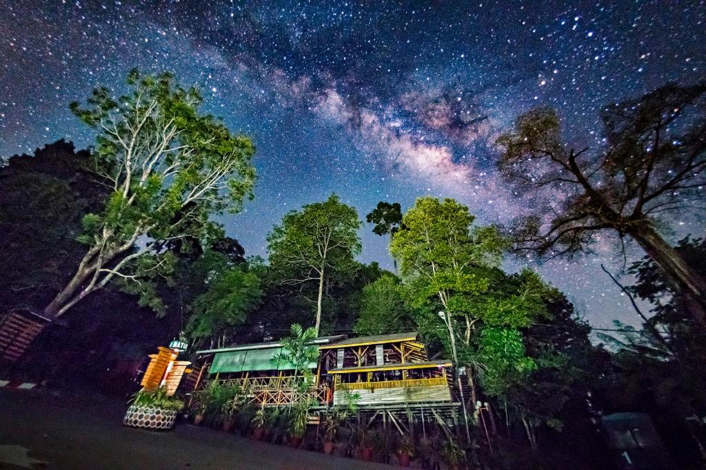 a house under a starry sky with the milky way at Borneo Tropical Rainforest Resort in Kampong Butir