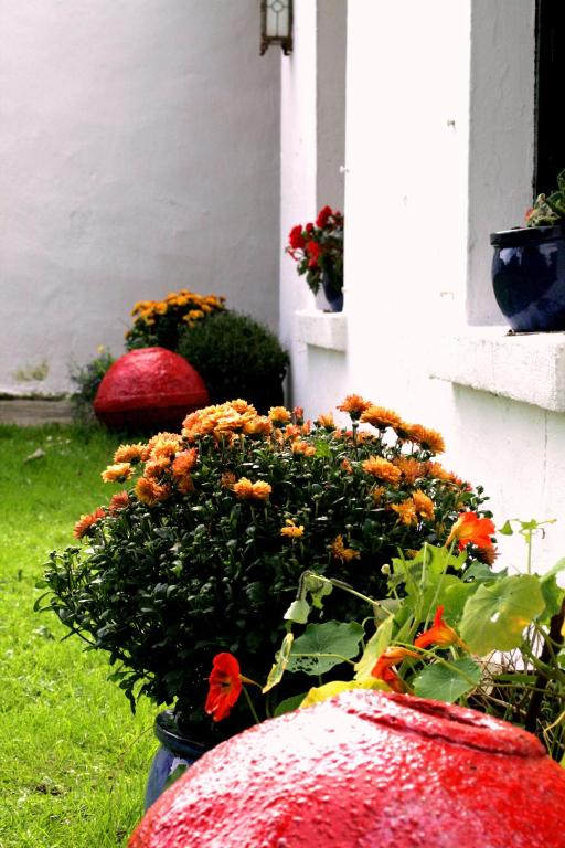 Zahrada ubytování Kilcommon Lodge Holiday Hostel