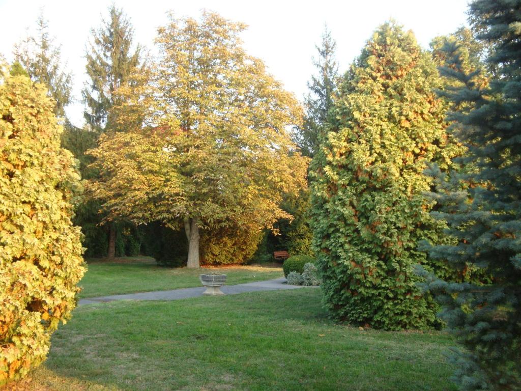 Zahrada ubytování Hotel Napsugar