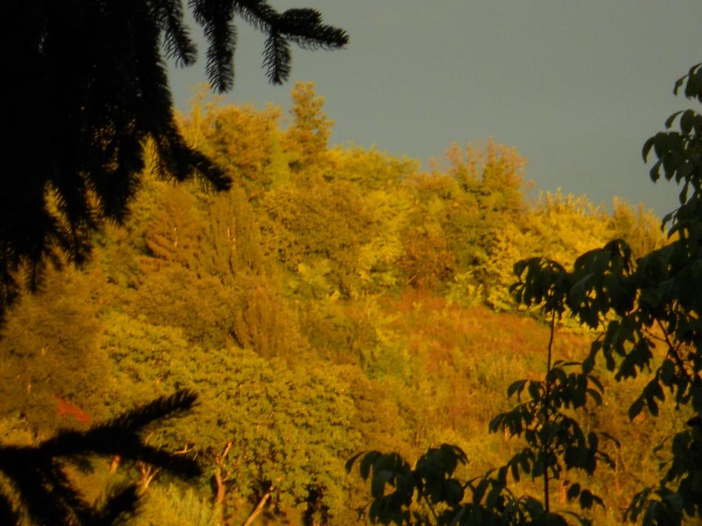 Příroda nedaleko bed and breakfast