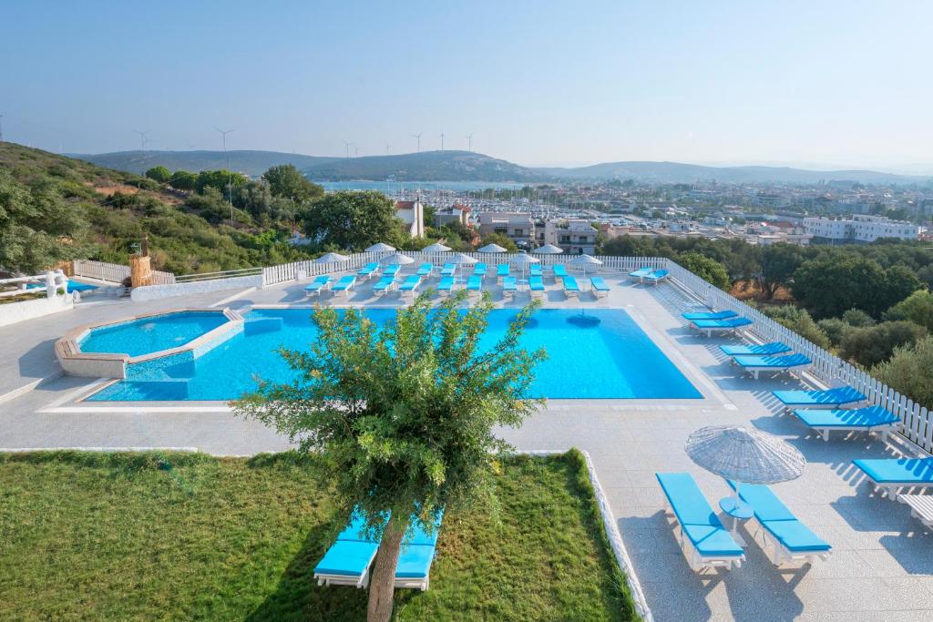 a large pool with blue lounge chairs and a lot ofigators at Thea Butik Hotel & Restaurant in Siğacık