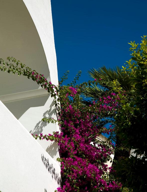 Giardino di Albergo Gatto Bianco