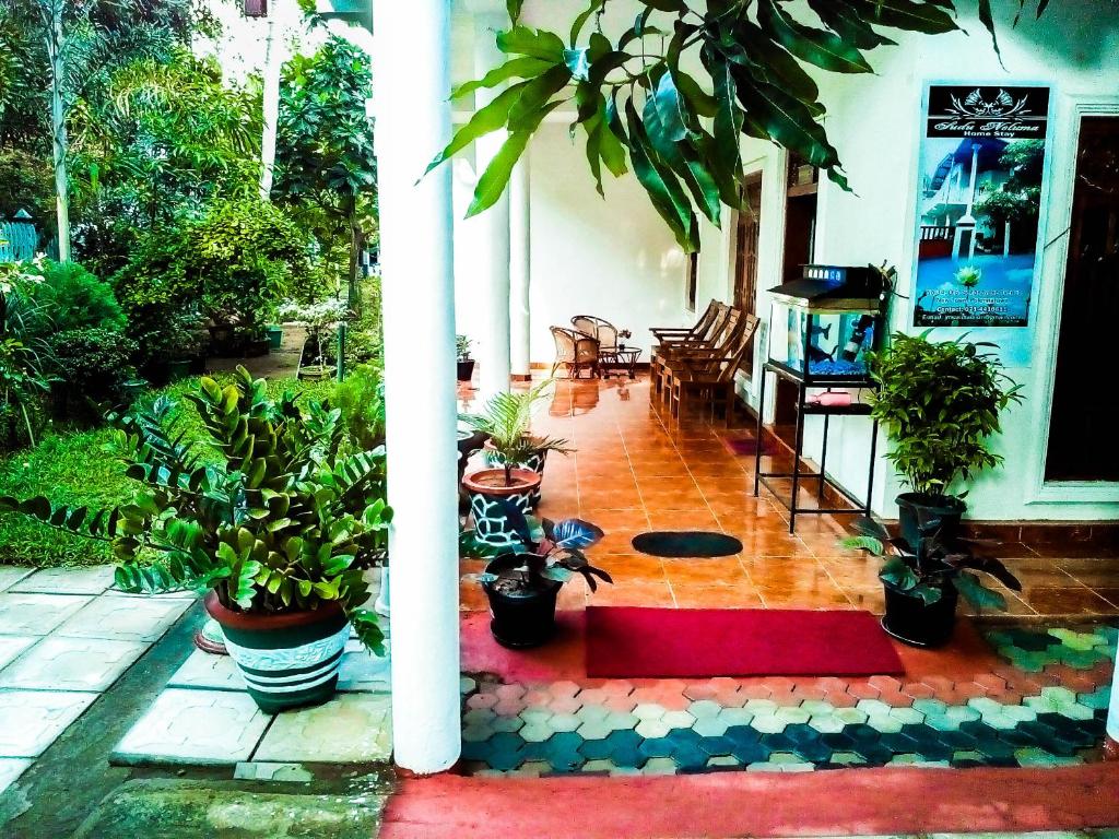 une terrasse couverte avec des plantes en pot et un tapis rouge dans l'établissement Sudu Neluma Home Stay, à Polonnâruvâ