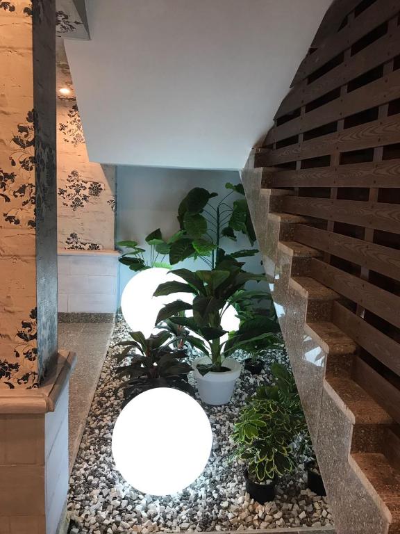 Fotografie z fotogalerie ubytování Negresco Hotel v destinaci Mersa Matruh