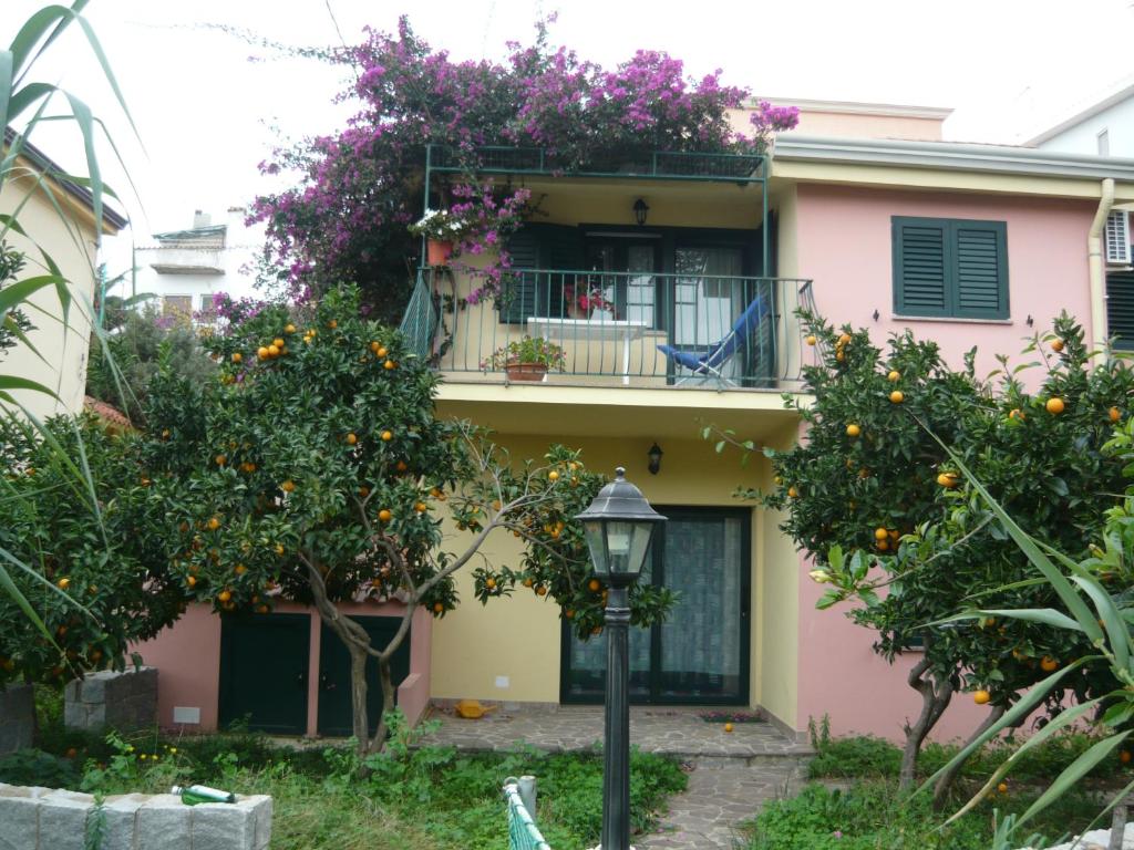 サンタ・マリア・ナヴァッレゼにあるAppartamento Monte Oroの目の前にオレンジの木が植えられた家
