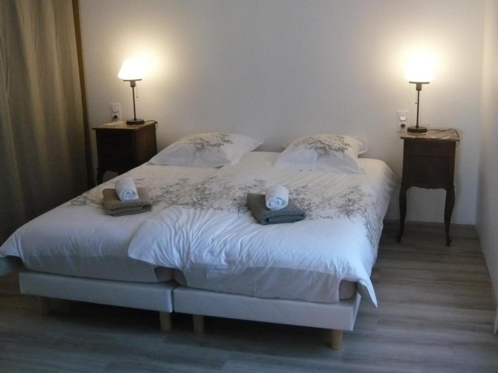 ein Schlafzimmer mit einem Bett mit zwei Kissen darauf in der Unterkunft Maison des écluses Strasbourg F3 90m2 Jacuzzi Climatisation in Straßburg