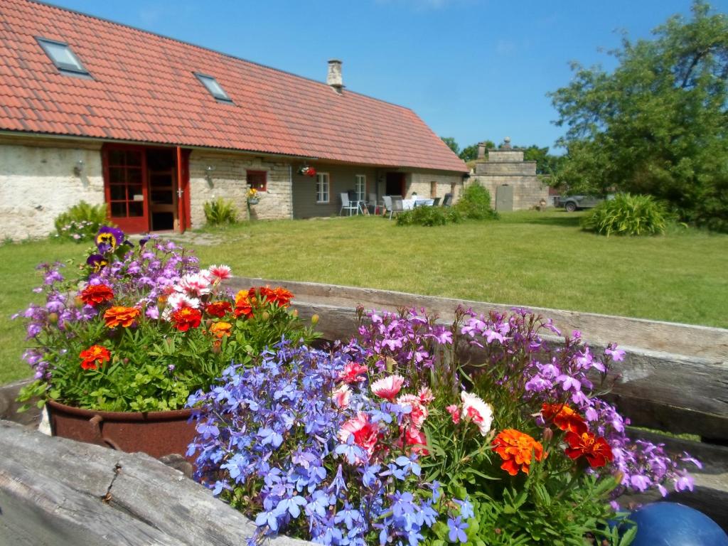 a bunch of flowers on a fence in front of a house at Ansumardi Farmstay in Kavandi