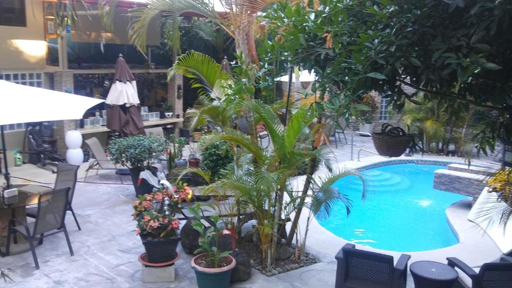 Bazén v ubytování Coyaba Tropical Elegant Adult Guesthouse nebo v jeho okolí