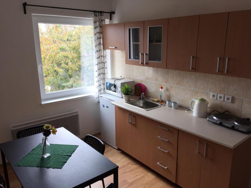 Kuchyň nebo kuchyňský kout v ubytování Apartmány Viktorka