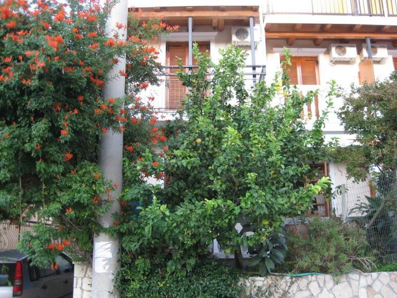 a building with trees and flowers in front of it at Valasis Studios in Argasi