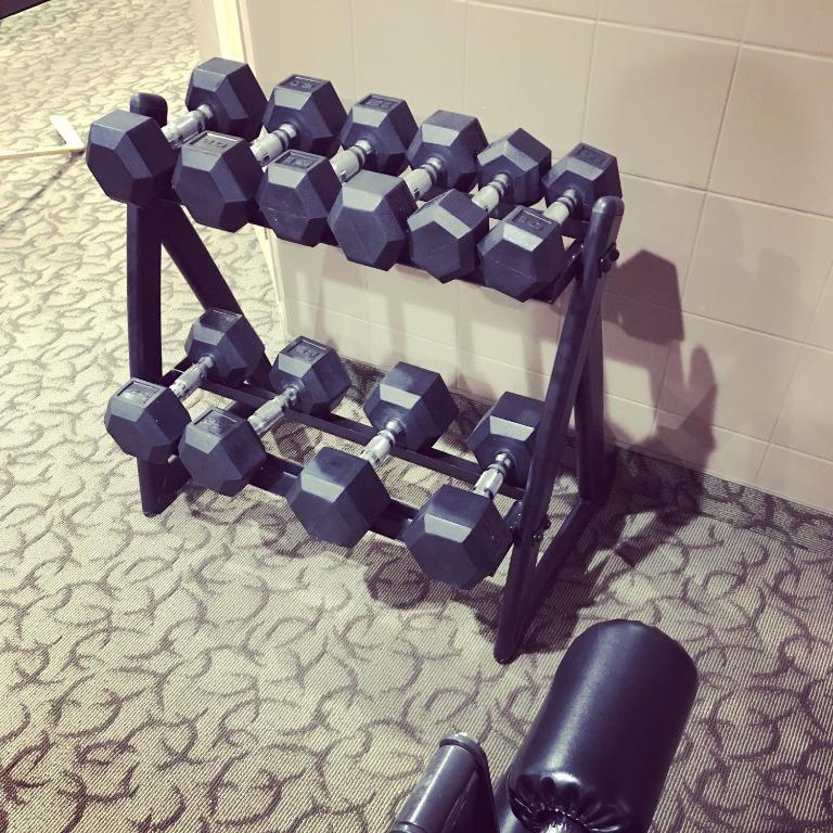 Fitness centrum a/nebo fitness zařízení v ubytování Argyll Plaza Hotel