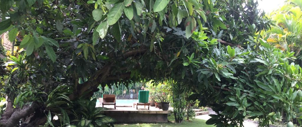 Raja Gardens Hotel - 17